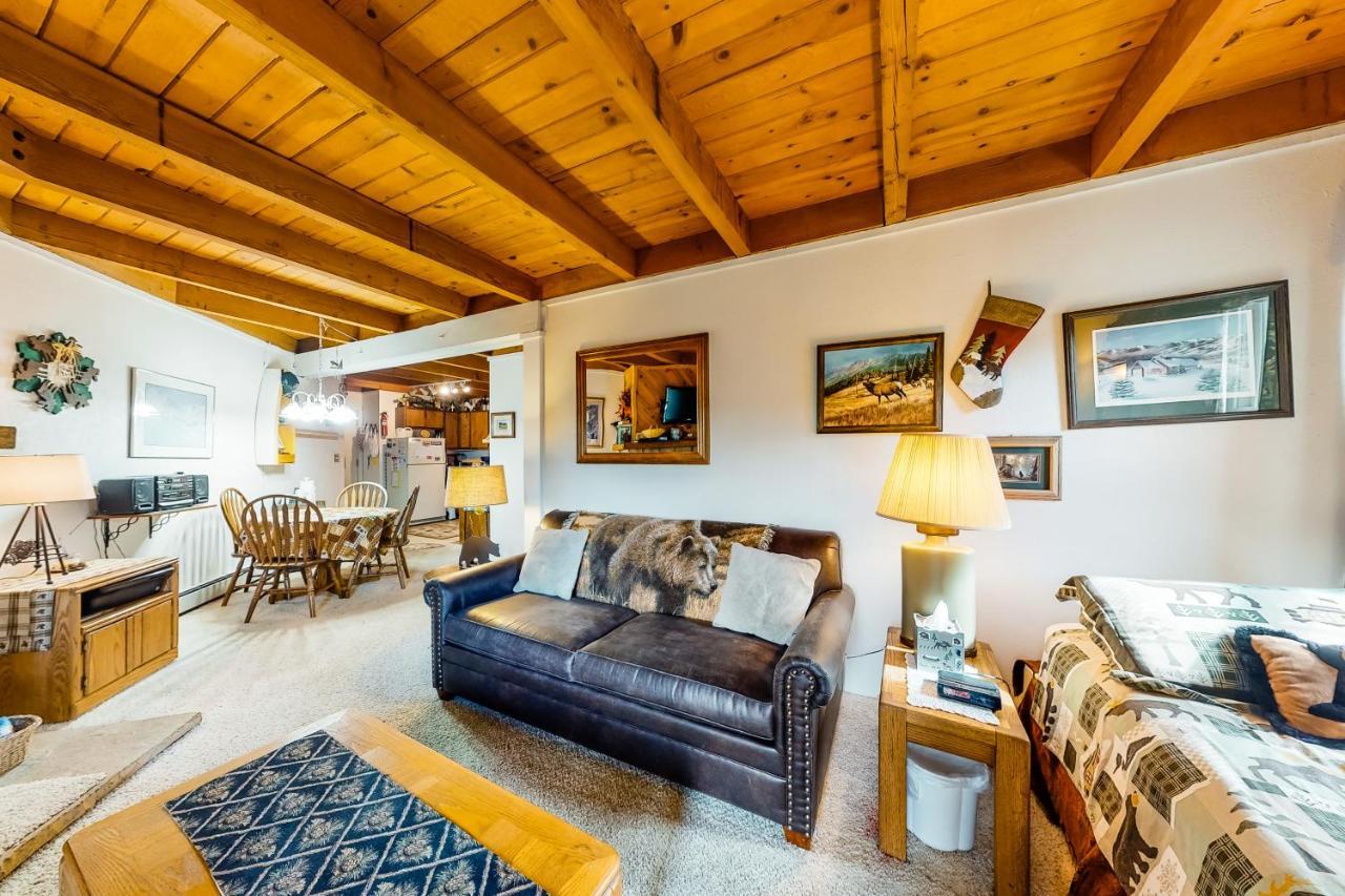 Vila Treehouse 208 Silverthorne Exteriér fotografie